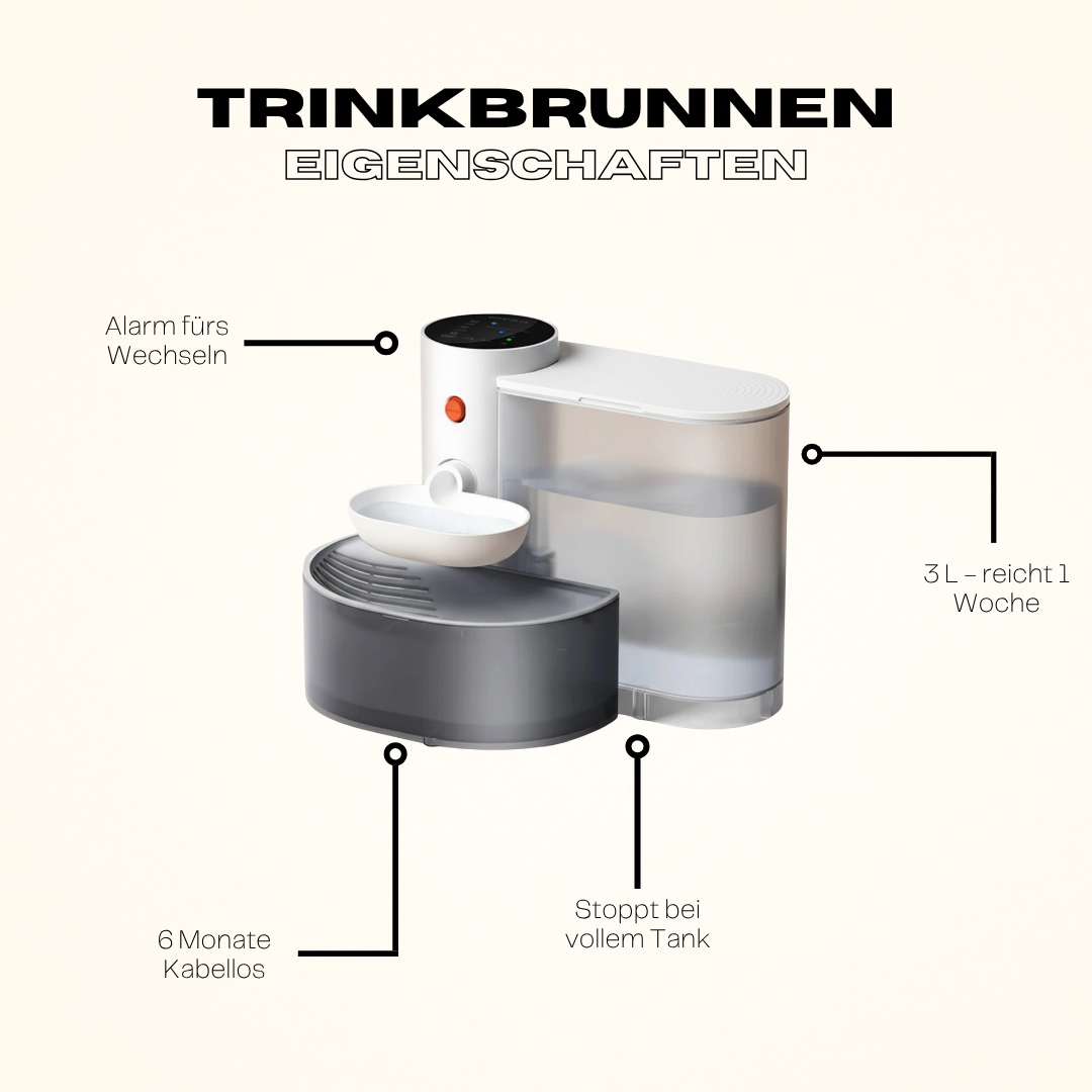 Trinkbrunnen mit Filter & Akku - Leise & Hygienisch