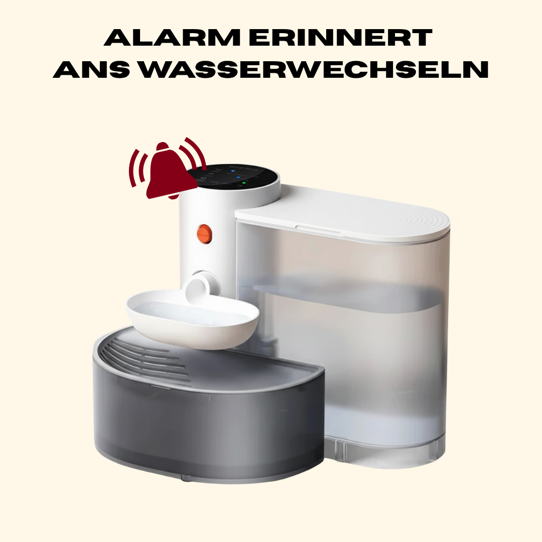 Trinkbrunnen mit Filter & Akku - Leise & Hygienisch