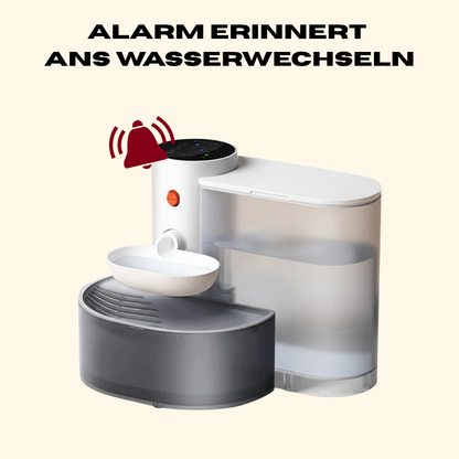 Trinkbrunnen mit Filter & Akku - Leise & Hygienisch