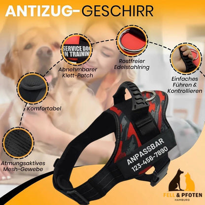 Personalisierbares Anti-Zug Hundegeschirr | Verstellbar & Hochwertig | für Kleine & Große Hunde