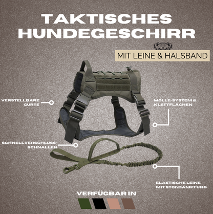 Taktisches Hundegeschirr mit Leine und Halsband