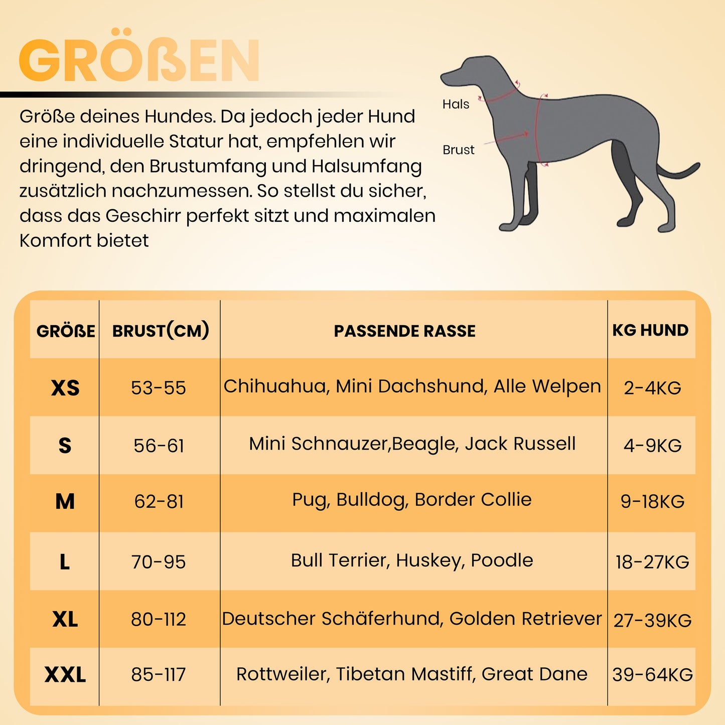 Personalisierbares Anti-Zug Hundegeschirr | Verstellbar & Hochwertig | für Kleine & Große Hunde